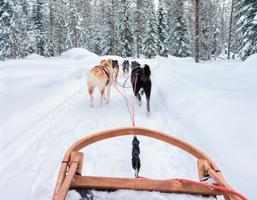 Husky Ride